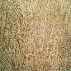 Ткань Замша Arboreal Beige