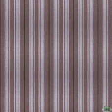 Тканина Рогожка Arizona 11300 Stripe