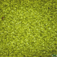 Тканина Велюр Astra Vei Pistachio