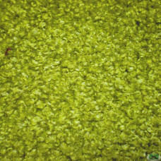 Тканина Велюр Astra Vei Pistachio Тканина Велюр Astra Vei Pistachio