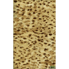 Ткань Велюр Bella Leopard 001