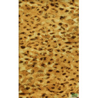 Ткань Велюр Bella Leopard 002