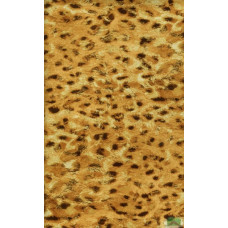Ткань Велюр Bella Leopard 002