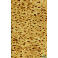 Ткань Велюр Bella Leopard 003