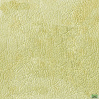 Искусственная кожа Easy Clean M1
