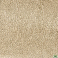Штучна шкіра Gerra Beige