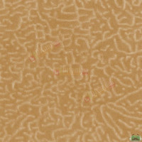 Ткань Флок Karelia Beige Combin