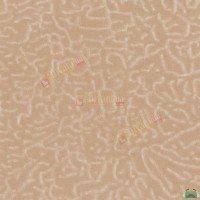Тканина Флок Karelia Cream Combin
