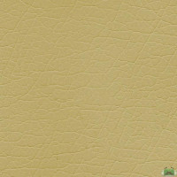 Штучна шкіра Titan Gold Beige