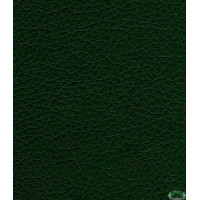 Искусственная кожа Zeus 226 Green